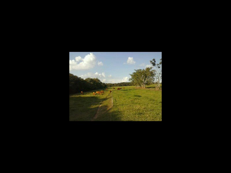 Sítio à venda Centro com 104200m² e 1 quarto por R$ 280 - 1520371618-willy-cel-olg-400.jpg