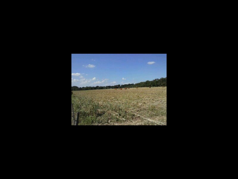 Sítio à venda Centro com 104200m² e 1 quarto por R$ 280 - 1559131098-willy-cel-olg-462.jpg