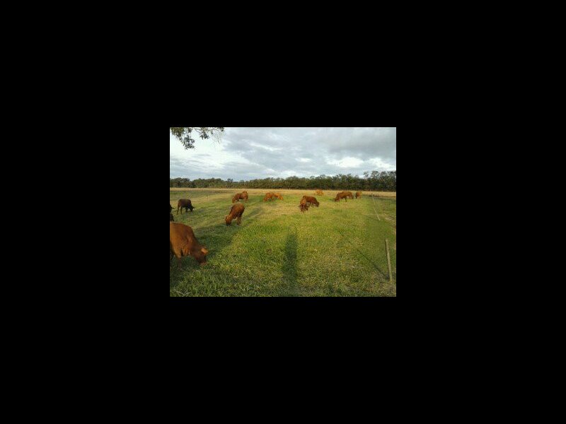 Sítio à venda Centro com 104200m² e 1 quarto por R$ 280 - 1635595639-willy-cel-olg-504.jpg