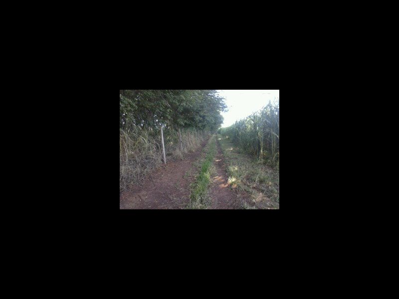 Sítio à venda Centro com 104200m² e 1 quarto por R$ 280 - 2107460021-willy-cel-olg-213.jpg