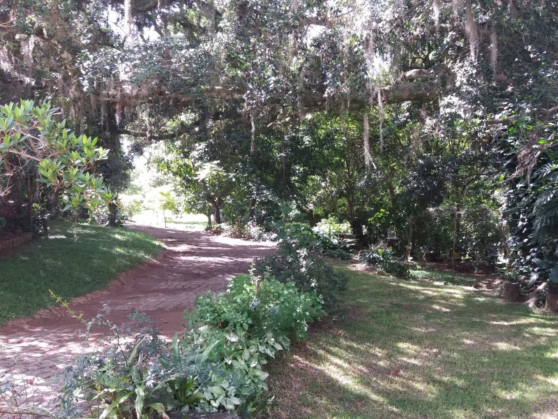 Chácara à venda Centro com 6m² e 4 quartos por R$ 670.000 - 1014469625-20200124-101044.jpg