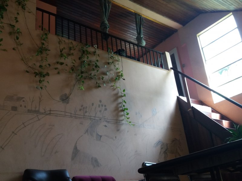 Chácara à venda Centro com 6m² e 4 quartos por R$ 670.000 - 647543515-20200124-100402.jpg