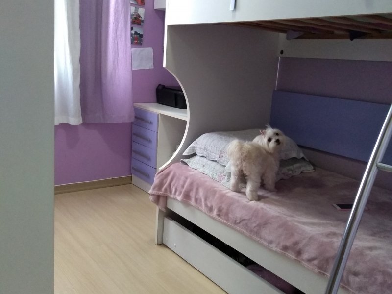 Apartamento à venda Vila Jaguará com 59m² e 2 quartos por R$ 380.000 - 538645132-img-20190928-132755869.jpg