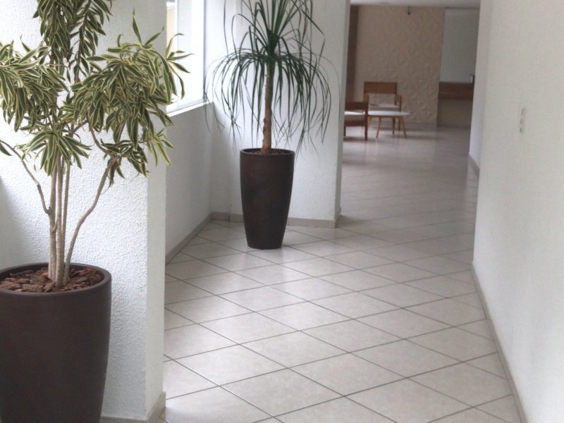 Apartamento à venda Vila Floresta com 52m² e 2 quartos por R$ 265.000 - 1660140967-6182cbfa-5a9e-4ee3-a3b2-b7f10d949f92.jpeg
