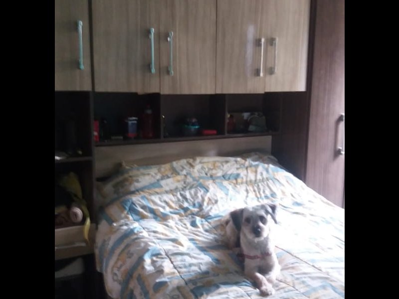 Apartamento à venda Parque Bristol com 48m² e 2 quartos por R$ 225.000 - 1240075430-img-20200203-wa0031.jpg