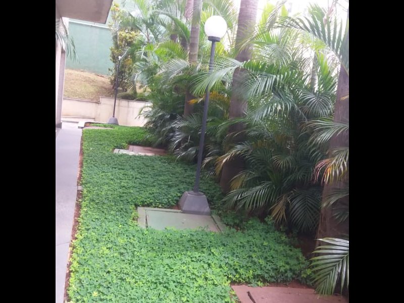 Apartamento à venda Parque Bristol com 48m² e 2 quartos por R$ 225.000 - 616983337-img-20200203-wa0040.jpg