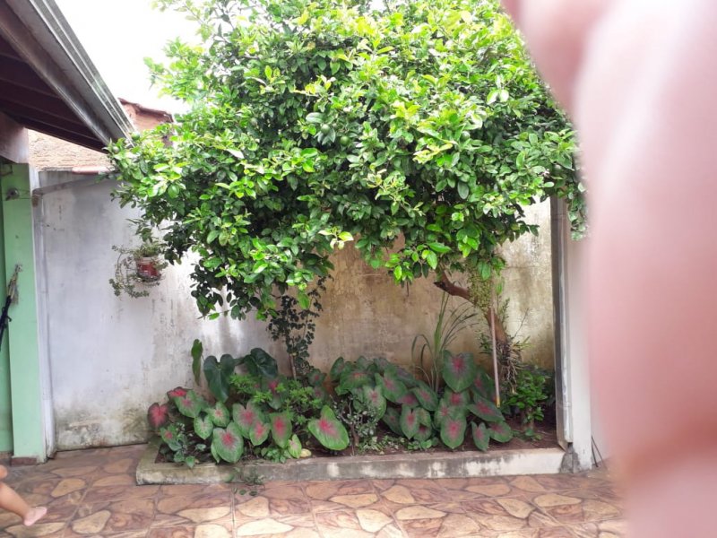 Casa à venda Vila Cidade Jardim com 300m² e 4 quartos por R$ 380.000 - 982616861-img-20200114-wa0020.jpg