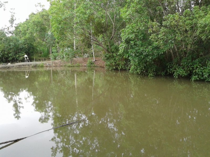 Chácara à venda Centro com 4000m² e 2 quartos por R$ 420.000 - 489236419-eeee.jpg