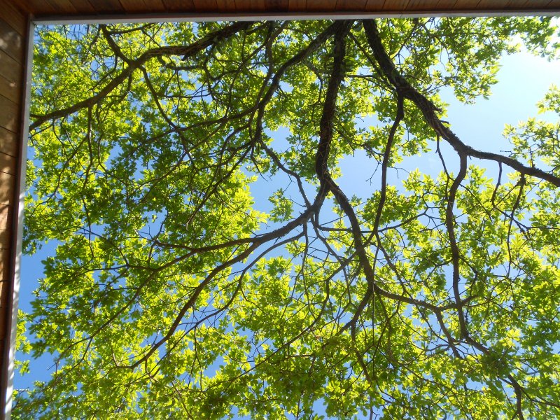 Casa à venda Vila Inah com 350m² e 4 quartos por R$ 1.450.000 - 404094285-fotos-casa-051013-060.jpg