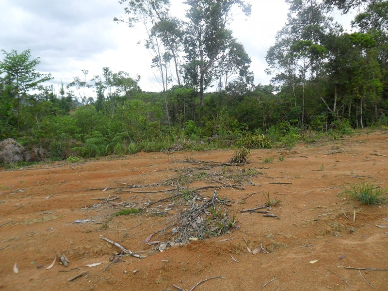 Apartamento à venda Colônia Santana com 4000m² e 1 quarto por R$ 80.000 - 493669532-colonia-santana-12.JPG