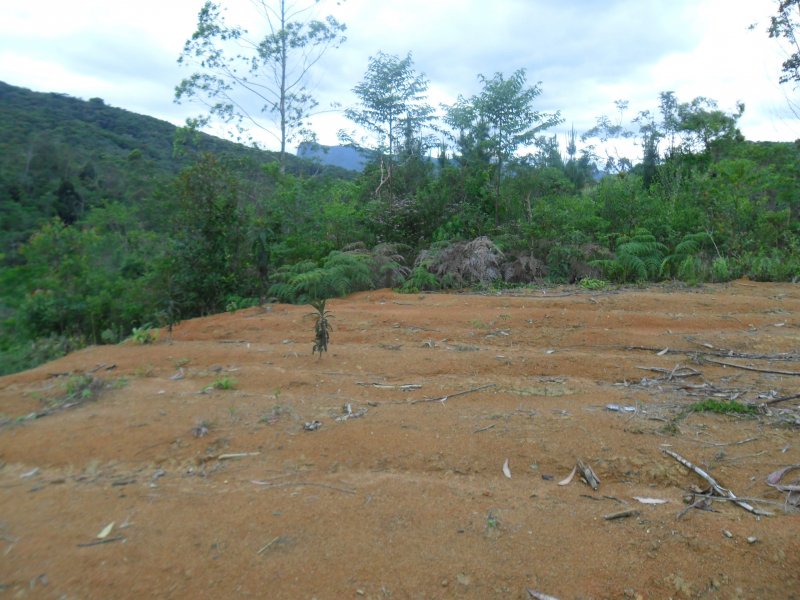 Apartamento à venda Colônia Santana com 4000m² e 1 quarto por R$ 80.000 - 693427916-colonia-santana-11.JPG