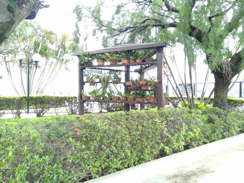 Apartamento à venda Vila Matilde com 61m² e 2 quartos por R$ 450.000 - 1184788765-p-20200206-084859.jpg