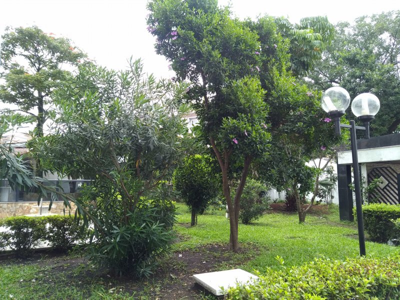 Apartamento à venda Vila Matilde com 61m² e 2 quartos por R$ 450.000 - 836659198-p-20200206-090709.jpg