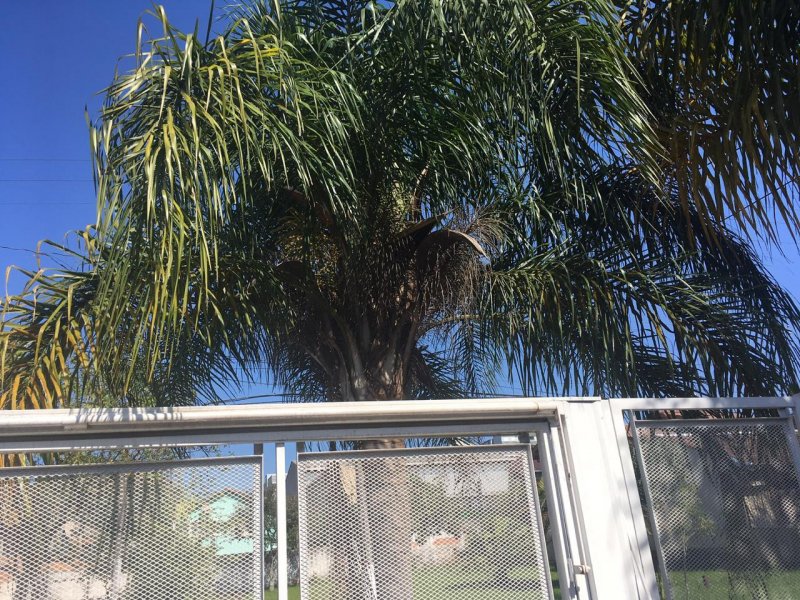 Casa à venda centro com 120m² e 3 quartos por R$ 650.000 - 402599681-aa4b6701-e18c-4eca-8746-1515a72e8485.jpg