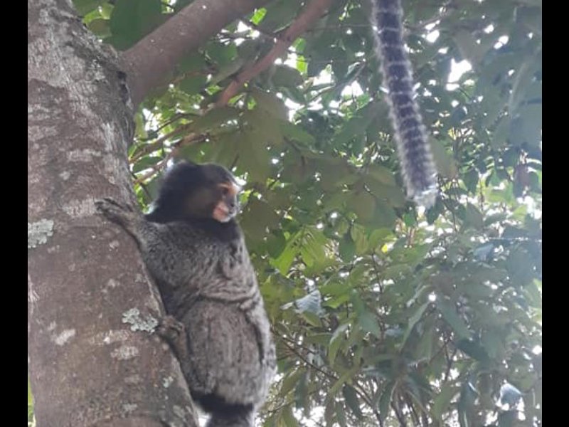 Apartamento à venda Tremembé com 52m² e 2 quartos por R$ 250.000 - 6441605-bf0ae372-b98a-48f4-89c5-b6b562f980f2.jpeg