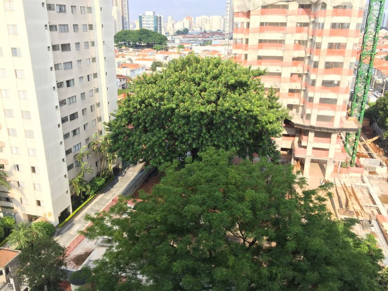 imóvel com 150m² - Tatuapé - São Paulo