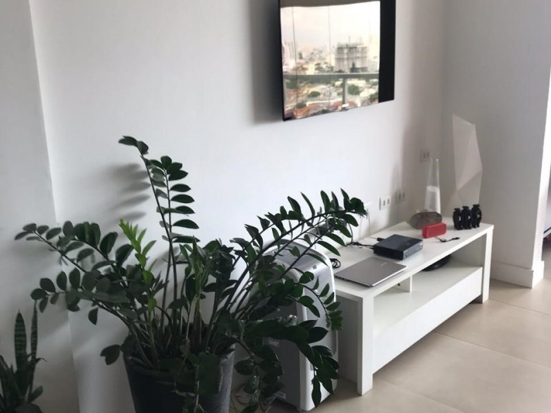 imóvel com 65m² - Cambuci - São Paulo