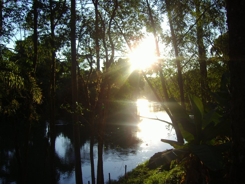 Comercial à venda Freguesia da Escada com 40000m² e 10 quartos por R$ 3.500.000 - 962048055-p6301452.JPG