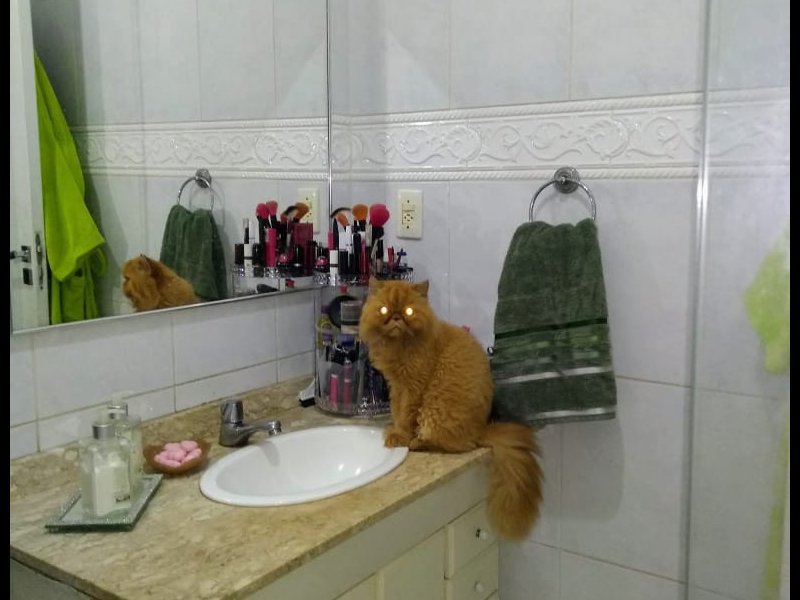 Apartamento à venda Botafogo com 79m² e 2 quartos por R$ 850.000 - 175568173-whatsapp-image-2020-02-08-at-21.jpeg