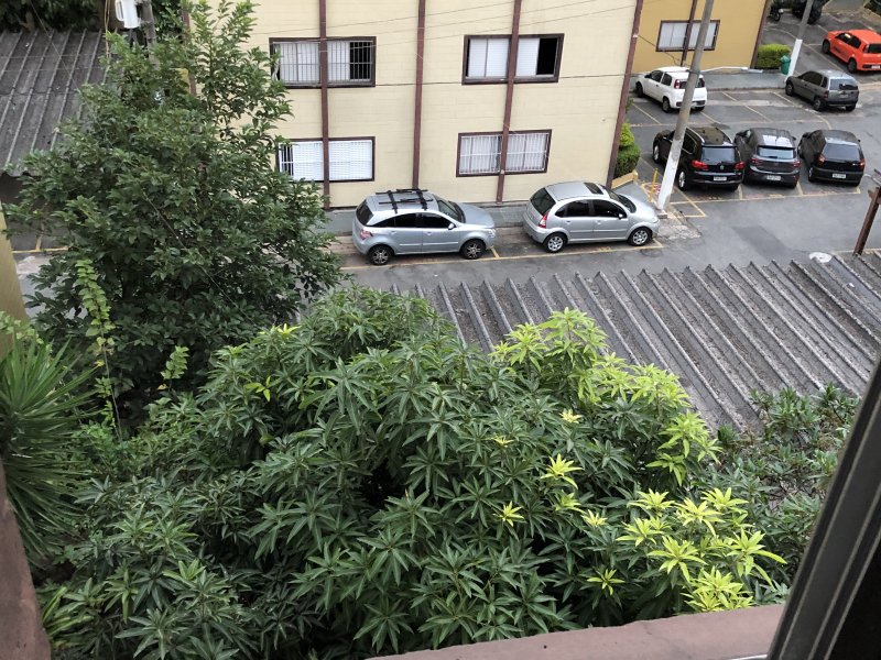 imóvel com 40m² - Americanópolis - São Paulo