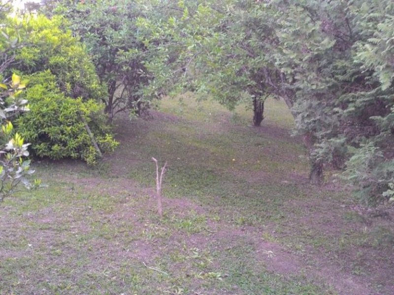 Chácara à venda Vl. Rivabem com 357m² e 4 quartos por R$ 1.500.000 - 981306333-img-20171203-wa0028.jpg