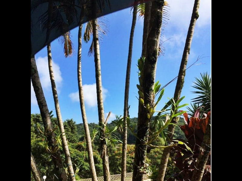 Chácara à venda Potribu de Cima com 5200m² e 3 quartos por R$ 330.000 - 1404901909-10.PNG