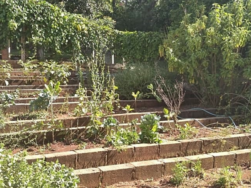 Chácara à venda Potribu de Cima com 5200m² e 3 quartos por R$ 330.000 - 1618078042-19.PNG