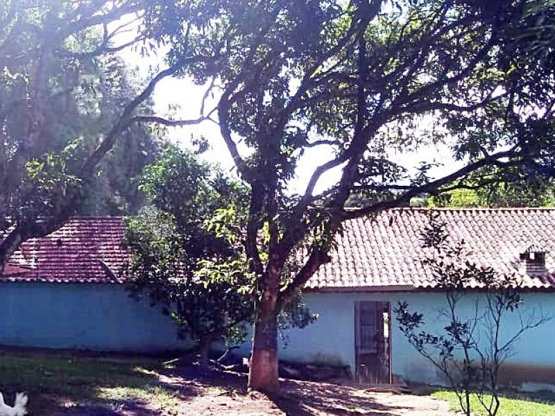 Chácara à venda Potribu de Cima com 5200m² e 3 quartos por R$ 330.000 - 1782564170-09.PNG