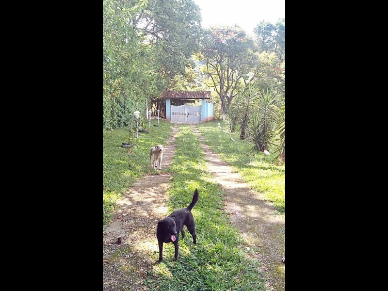 Chácara à venda Potribu de Cima com 5200m² e 3 quartos por R$ 330.000 - 2123211735-23.PNG