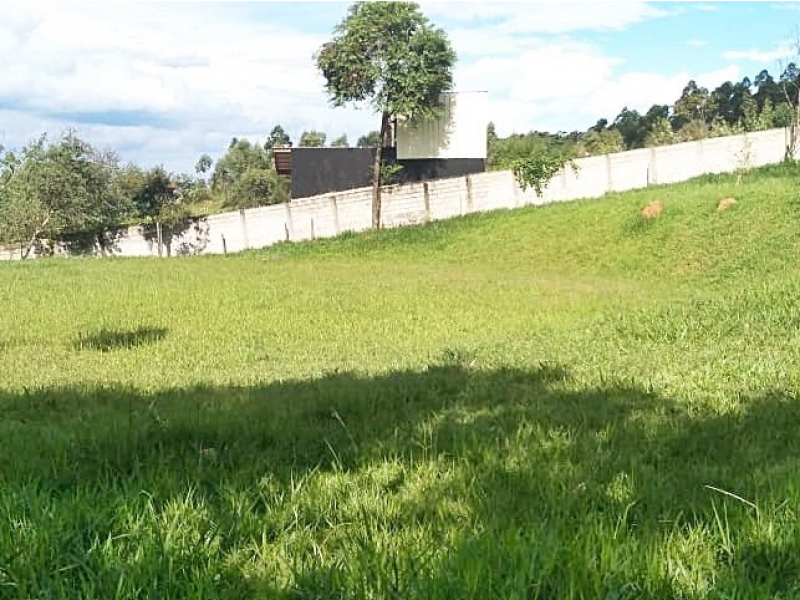 Chácara à venda Potribu de Cima com 5200m² e 3 quartos por R$ 330.000 - 81208026-20.PNG