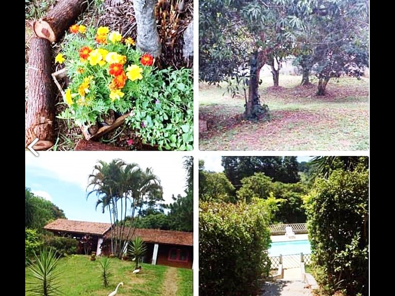 Chácara à venda Potribu de Cima com 5200m² e 3 quartos por R$ 330.000 - 851200470-16.PNG