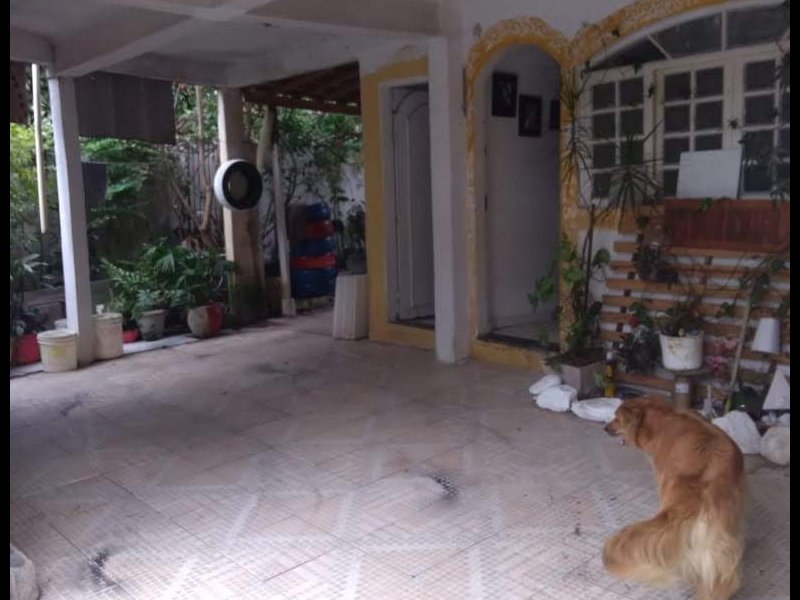 Casa à venda Jardim São Carlos (Zona Leste) com 80m² e 2 quartos por R$ 230.000 - 982883868-img-20200210-wa0072.jpg