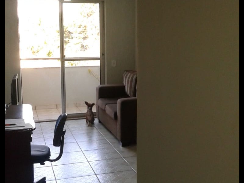 Apartamento à venda Chácaras Tubalina e Quartel com 77m² e 3 quartos por R$ 219.000 - 1756471006-whatsapp-image-2020-02-11-at-09.jpeg