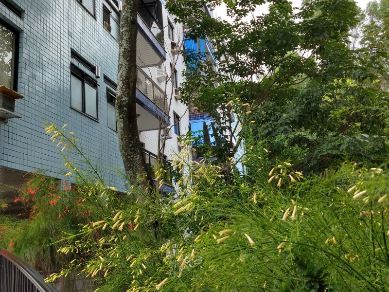 Apartamento à venda Freguesia (Jacarepaguá) com 92m² e 3 quartos por R$ 640.000 - 2012144748-img-20200210-142534926-hdr.jpg