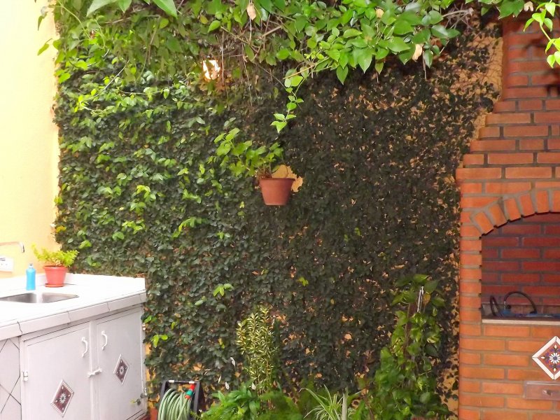 Casa à venda Belenzinho com 150m² e 3 quartos por R$ 649.000 - 1308848274-30-quintal.JPG