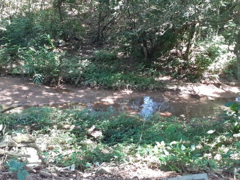 Terreno à venda Aparecida com 450m² e  quartos por R$ 43.800 - 1636743540-ed9a6e5c-d786-451d-8a6d-62f2032b3bf9.jpg