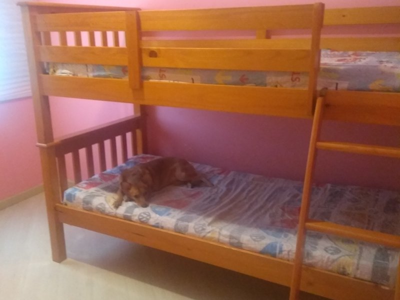 Apartamento à venda Centro com 74m² e 3 quartos por R$ 350.000 - 865350006-inbound5365093050801600903.jpg