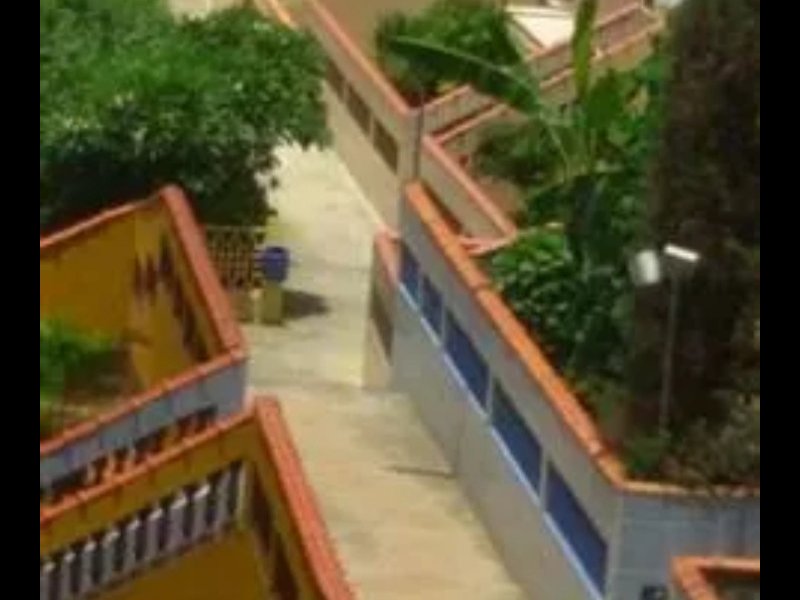 Apartamento à venda Cidade Antônio Estevão de Carvalho com 70m² e 2 quartos por R$ 230.000 - 1058564423-20200203-201650.jpg