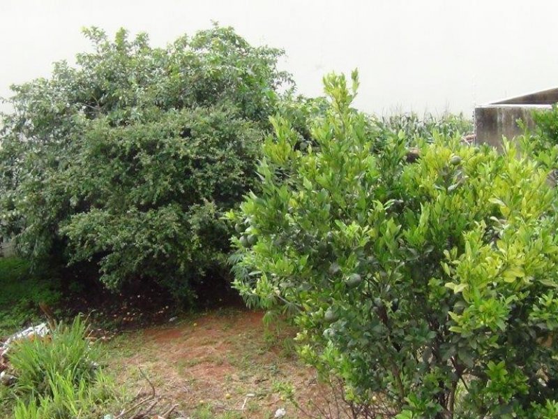 Casa à venda Umuarama com 450m² e 3 quartos por R$ 490.000 - 403408353-dsc00097.jpg