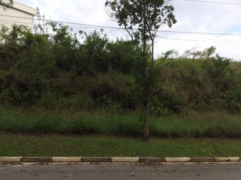 Terreno à venda Jardim Peri com 527m² e  quartos por R$ 260.000 - 267331541-terreno3.jpg