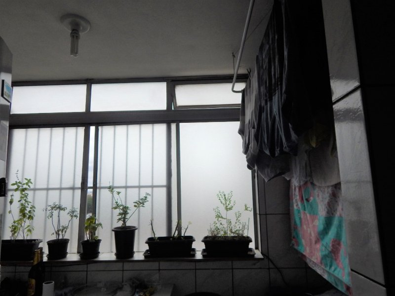 Apartamento à venda Vila Independência com 78m² e 3 quartos por R$ 350.000 - 1798216122-img-20200126-wa0036.jpg