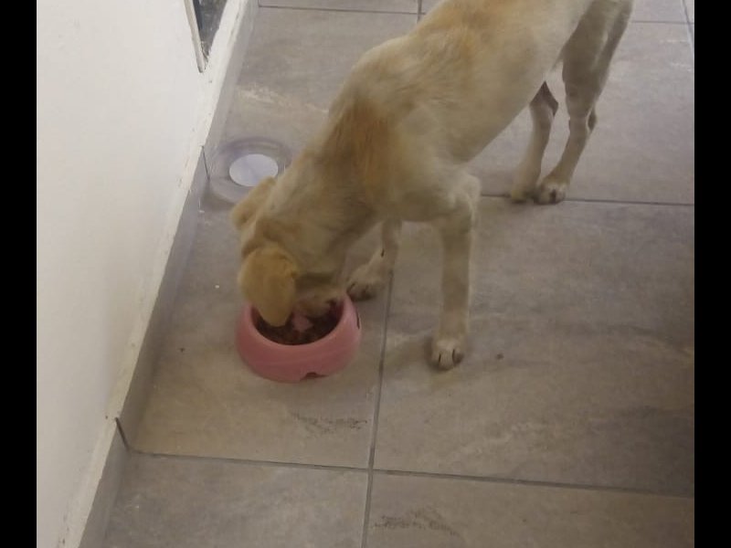 Apartamento à venda com 49m² e 2 quartos por R$ 217.000 - 793010917-7758fe37-4884-4fdf-94a2-5fc0cf5e1350.jpeg