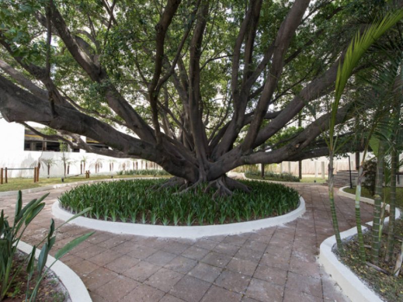 imóvel com 76m² - Picanço - Guarulhos