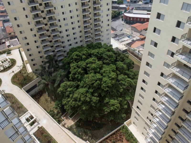 imóvel com 76m² - Picanço - Guarulhos