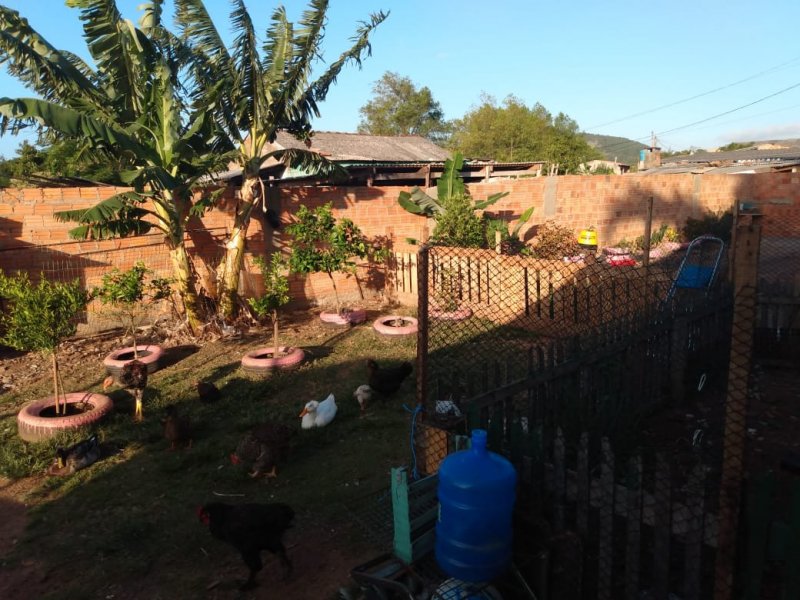 Casa à venda Serraria com 658m² e 3 quartos por R$ 35 - 1834235322-img-20200206-wa0009.jpg