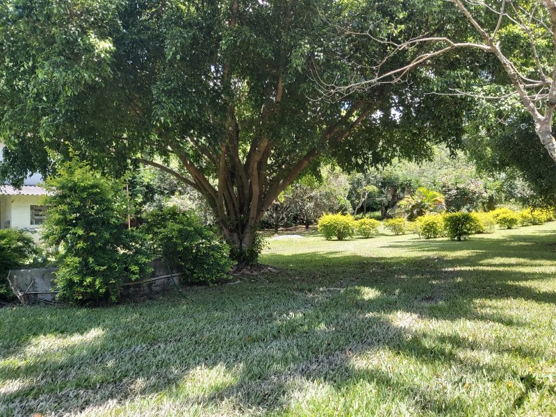 Sítio à venda Vale Verde Ville com 8000m² e 4 quartos por R$ 950.000 - 1828867977-20200215-123911.jpg