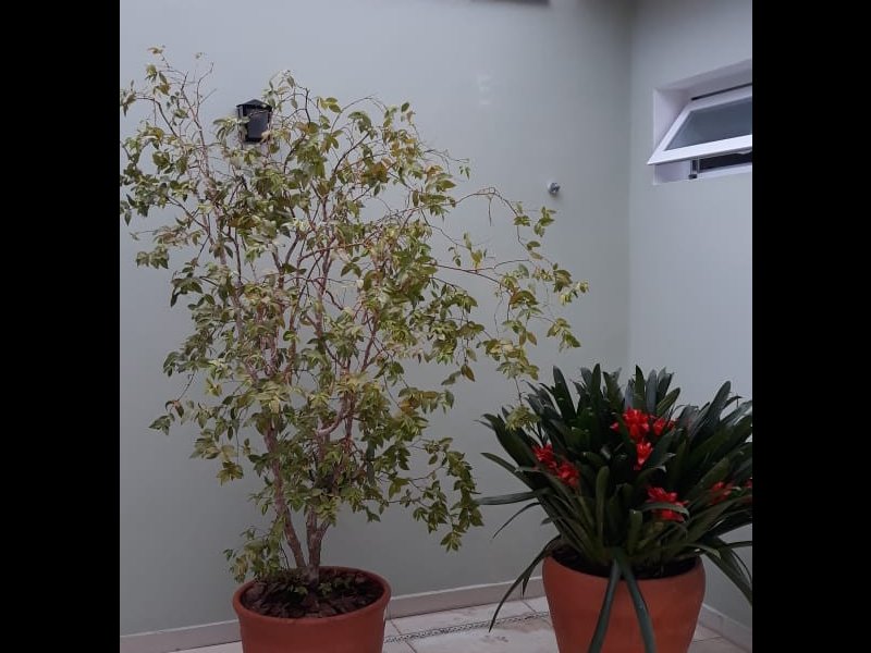 Apartamento à venda Campo Belo com 230m² e 3 quartos por R$ 1.300.000 - 1970296601-unknown-4.jpeg