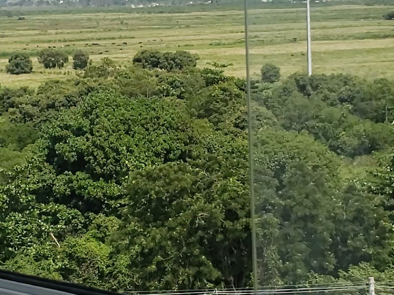 Apartamento à venda Recreio dos Bandeirantes com 72m² e 2 quartos por R$ 490.000 - 1783819828-inbound8784828433199335645.jpg