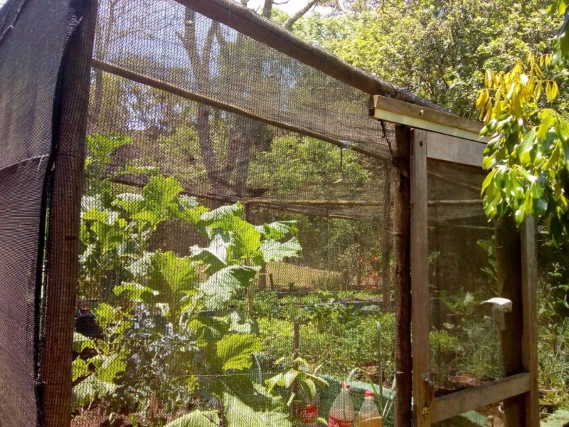 Chácara à venda Fazenda Marajoara com 4200m² e 5 quartos por R$ 1.300.000 - 436399672-img-20200128-wa0010.jpg