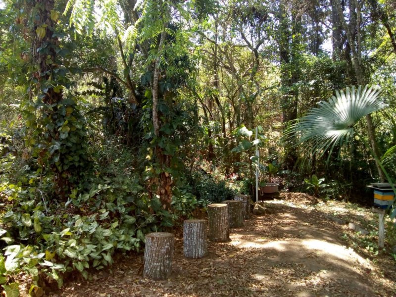 Chácara à venda Fazenda Marajoara com 4200m² e 5 quartos por R$ 1.300.000 - 784183262-img-20200128-wa0022.jpg